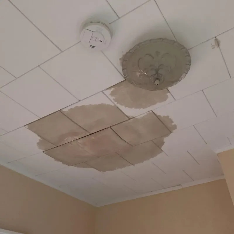 Ceiling Water Damage Repair in Aleutians East Borough, AK