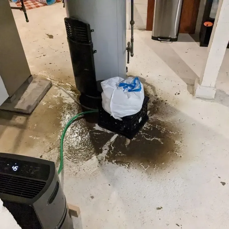 Sewage Backup Cleanup Service in Aleutians East Borough, AK